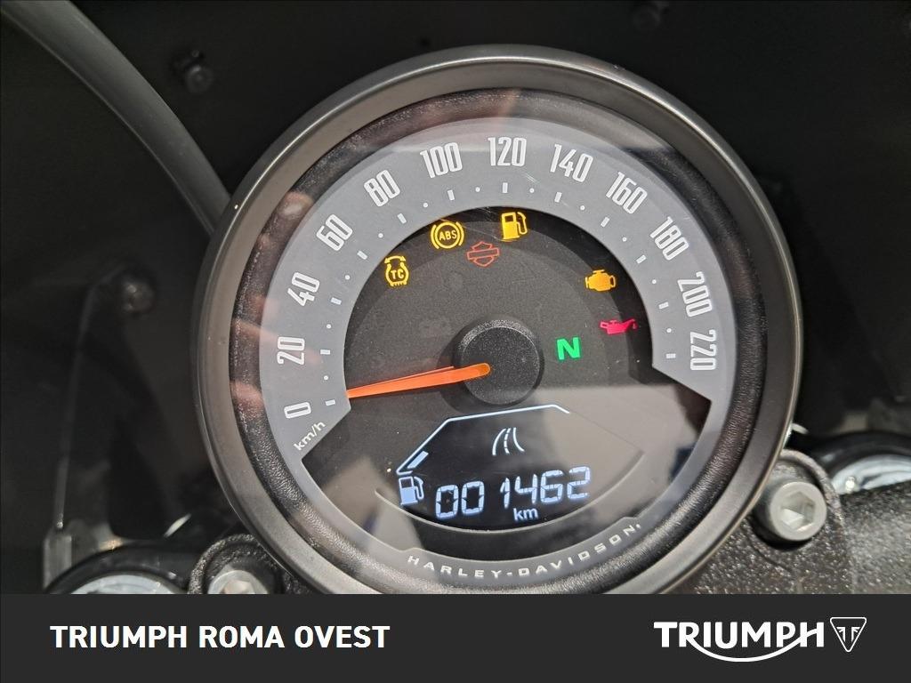 HARLEY DAVIDSON Street Bob 117 1923 1.9 c.raggi Billiard Gray